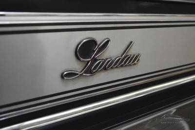 Ford Galaxie Landau 1980 (24).JPG