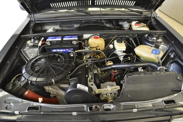 VW Passat GTS Pointer