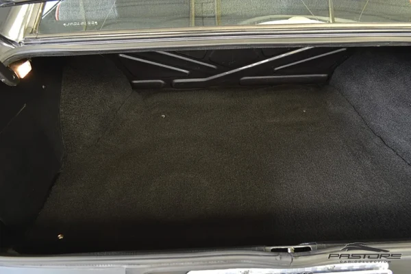 VW Passat GTS Pointer