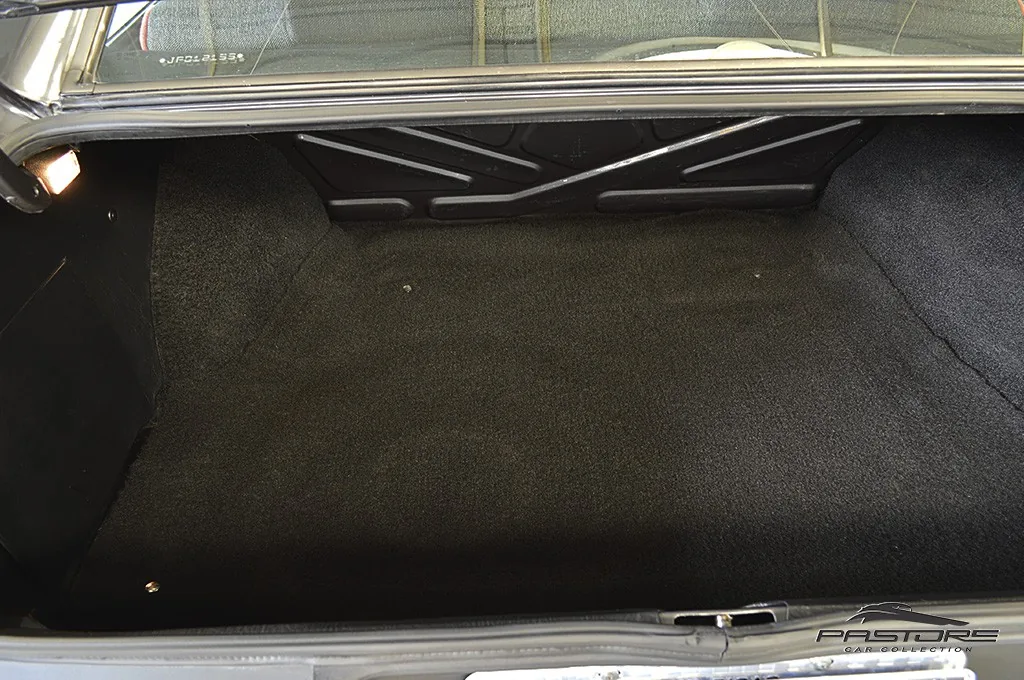 VW Passat GTS Pointer
