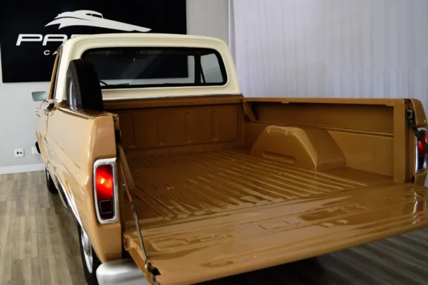 Ford F100