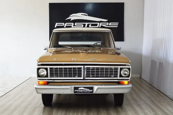 Ford F100