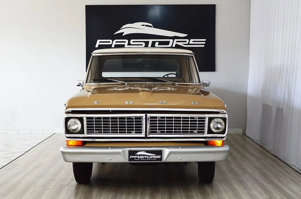 Ford F100