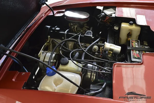 Miura Spider