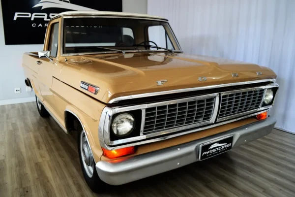 Ford F100
