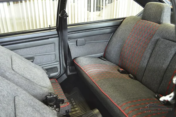 VW Passat GTS Pointer