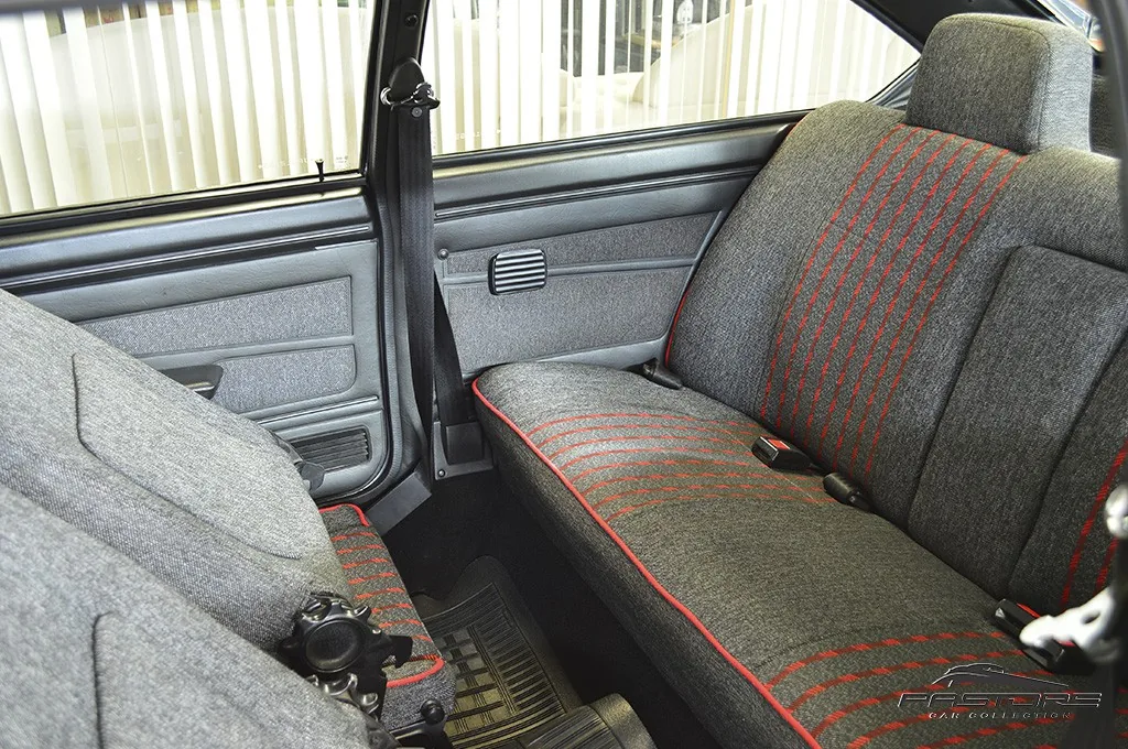 VW Passat GTS Pointer
