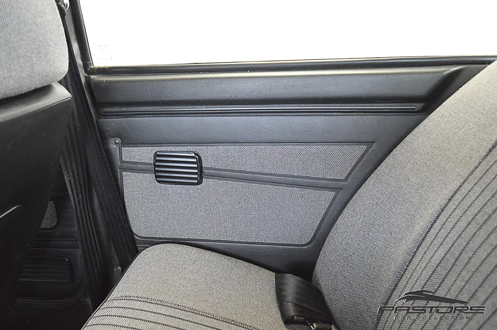 VW Passat GTS Pointer