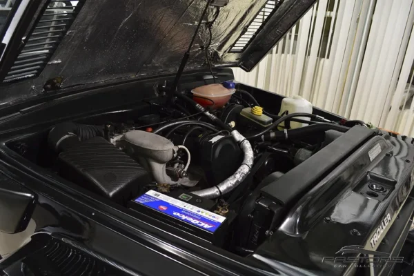 Troller RF Sport
