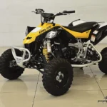Can-am Quadriciclo DS 450X