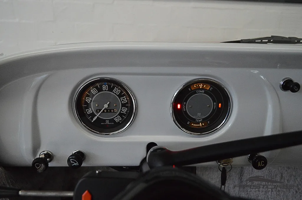 GM C10