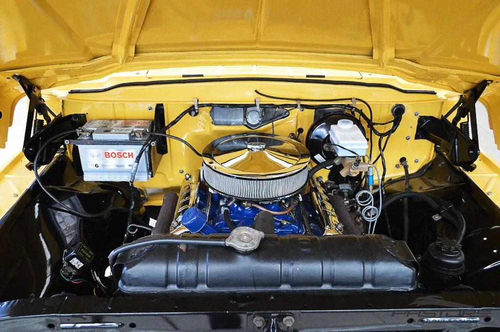Ford F100