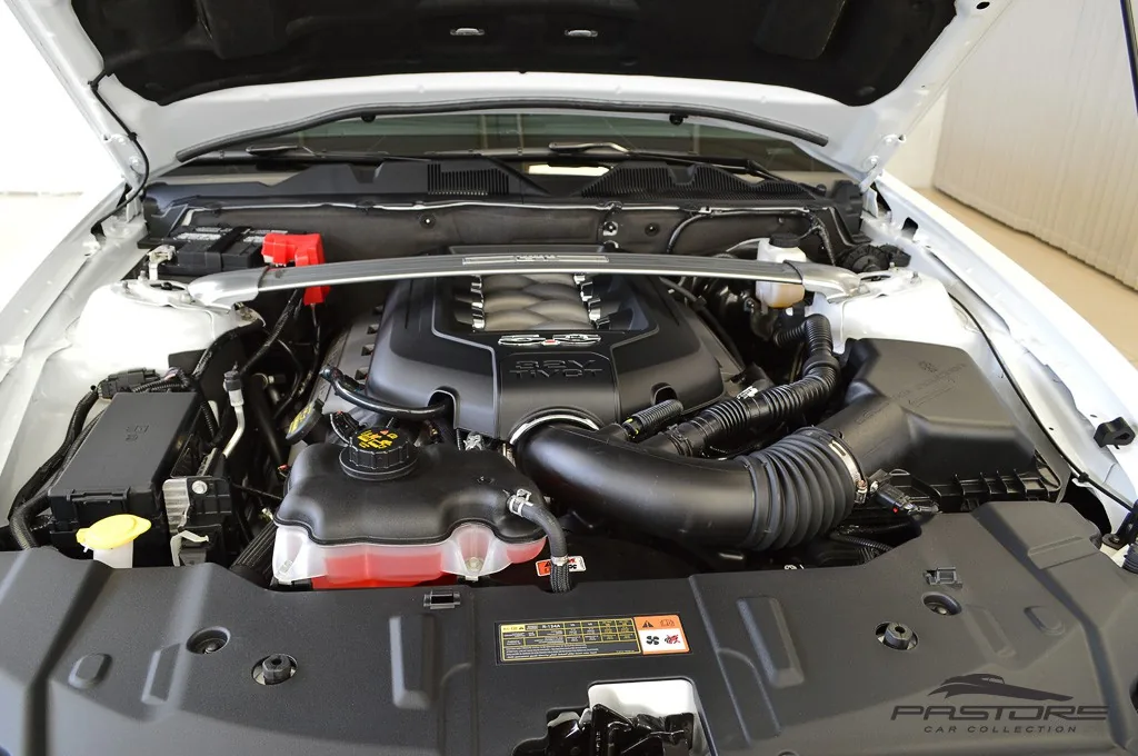 Ford Mustang 5.0 GT Premium