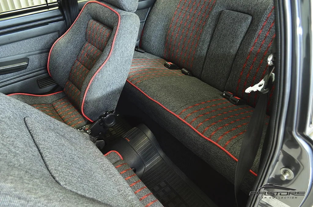 VW Passat GTS Pointer