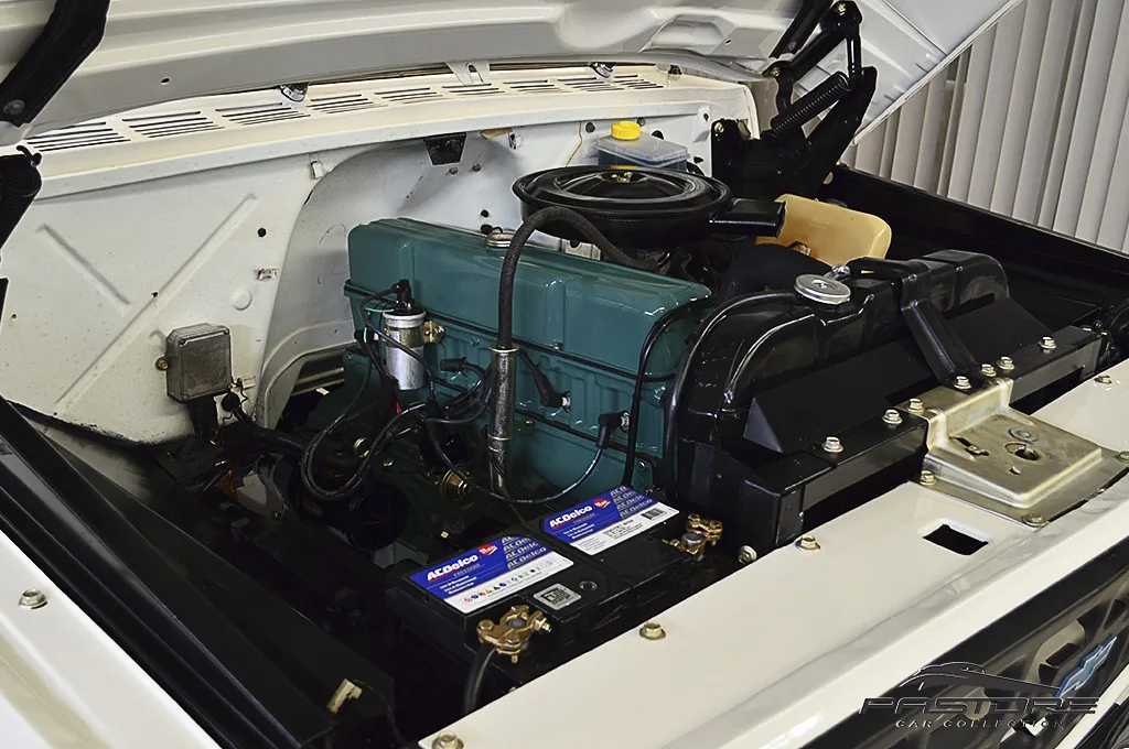 GM C10
