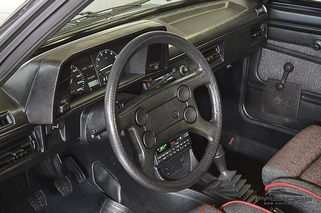 VW Passat GTS Pointer