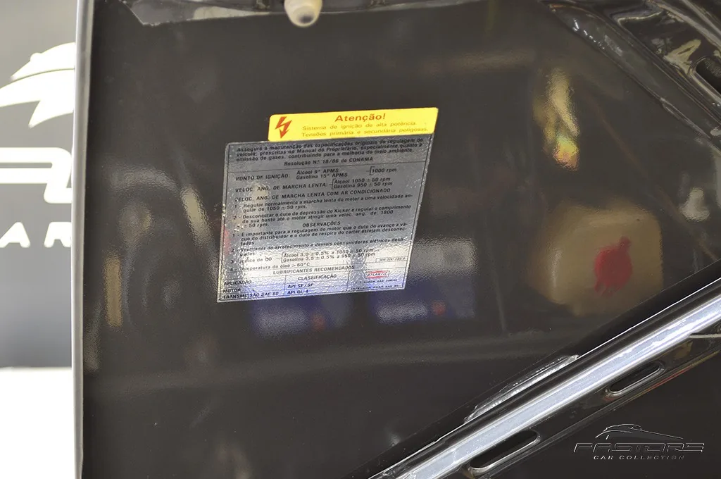 VW Passat GTS Pointer
