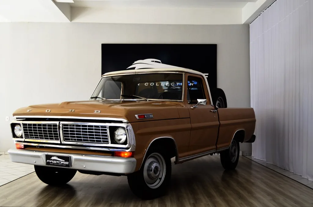 Ford F100