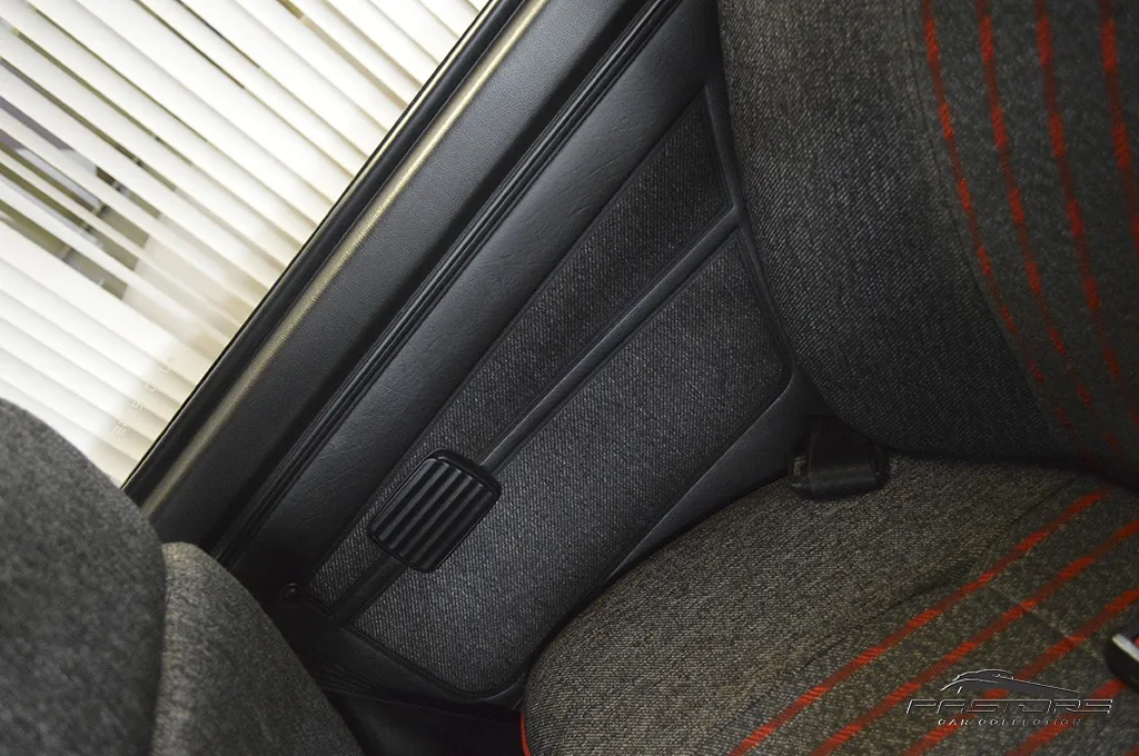 VW Passat GTS Pointer