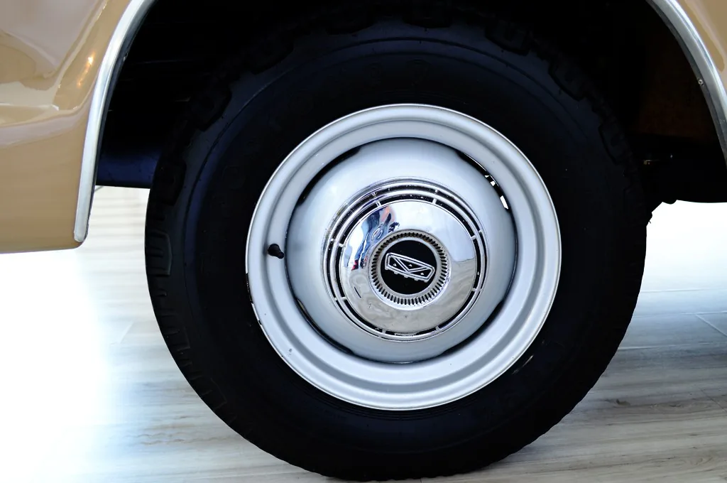Ford F100