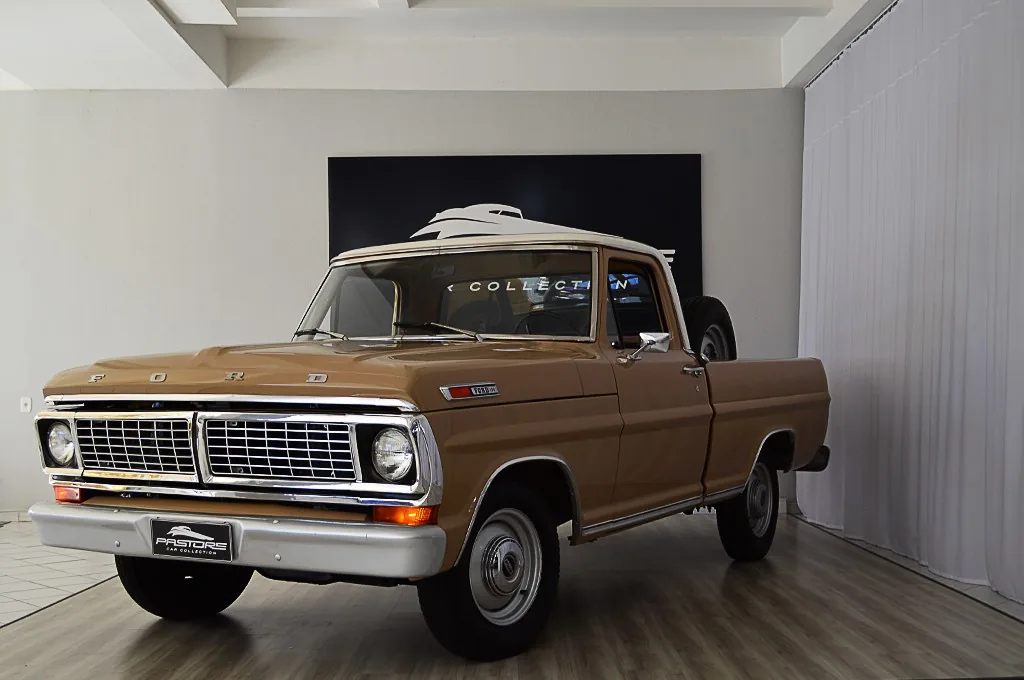Ford F100