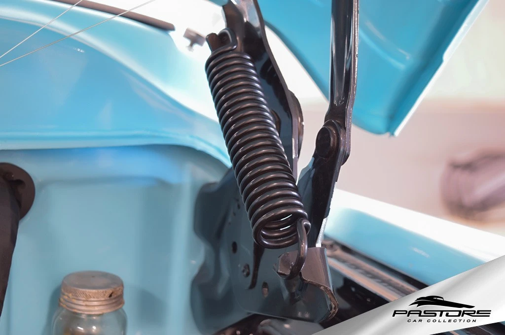 GM 3100 “Marta Rocha”