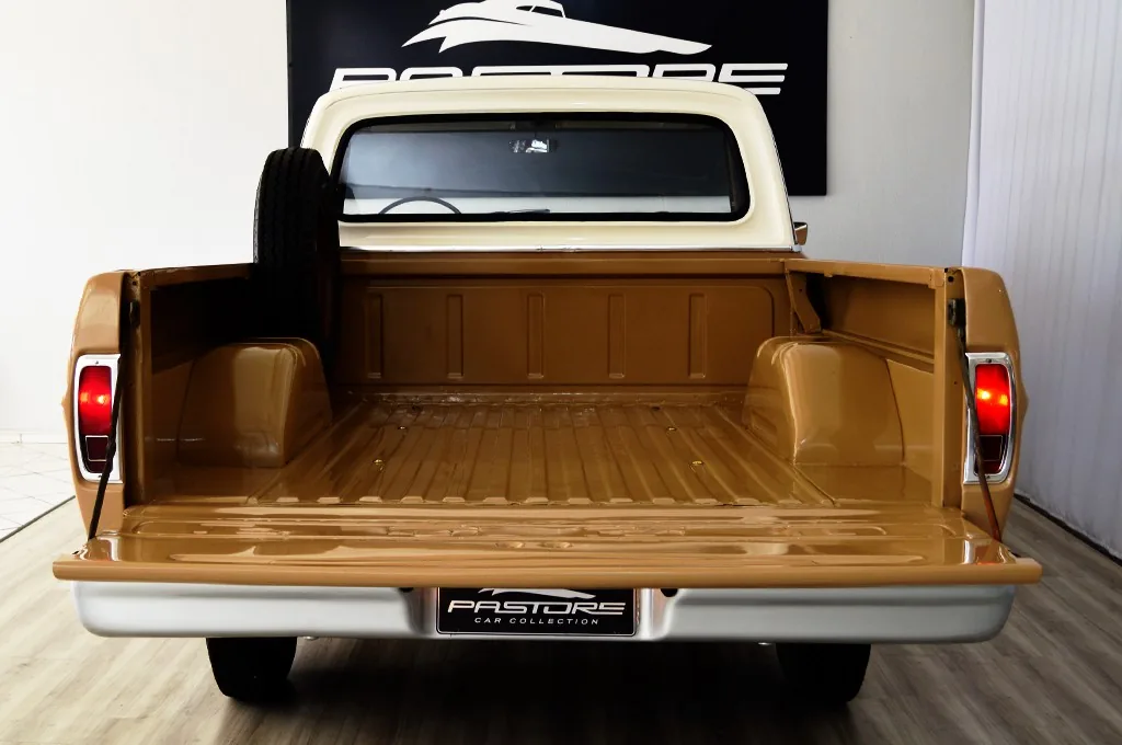 Ford F100