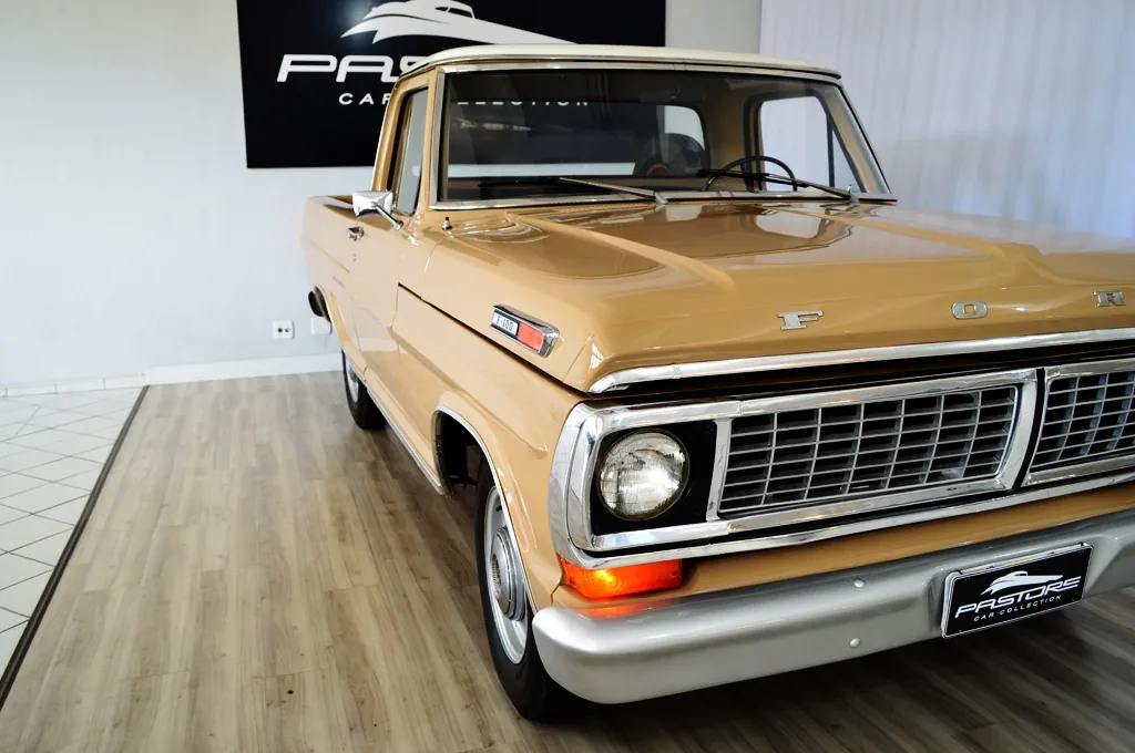 Ford F100