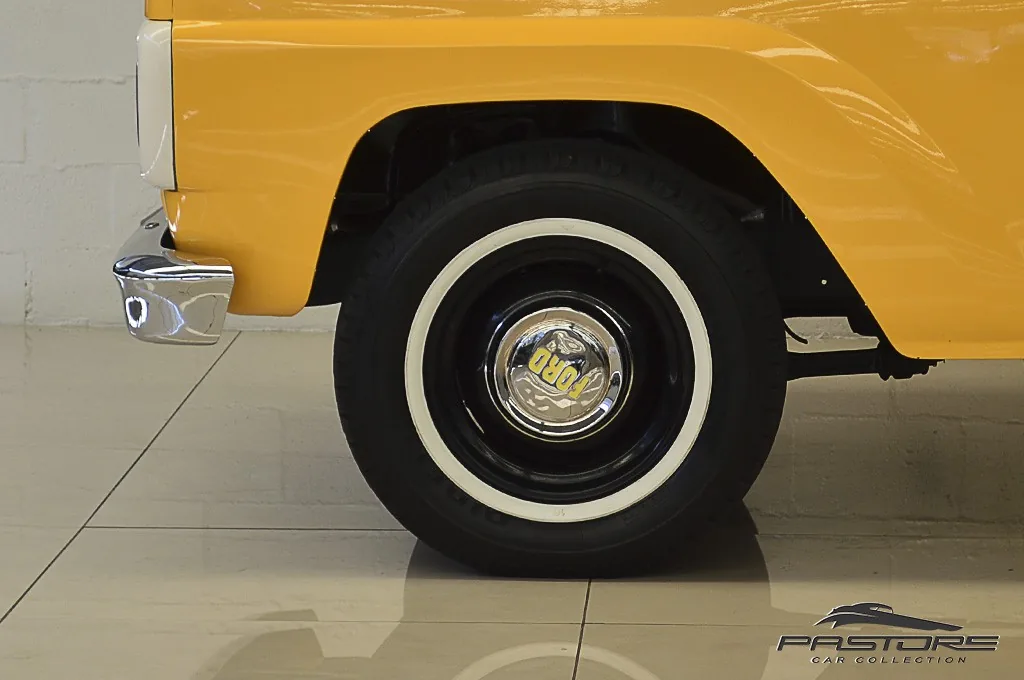 Ford F100