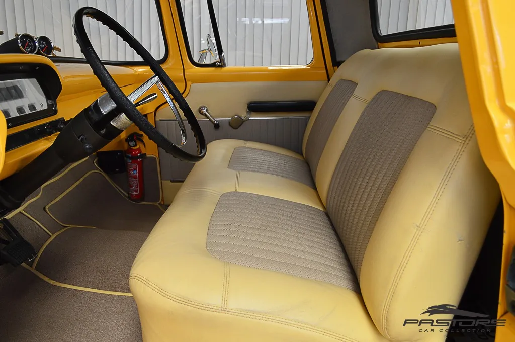 Ford F100
