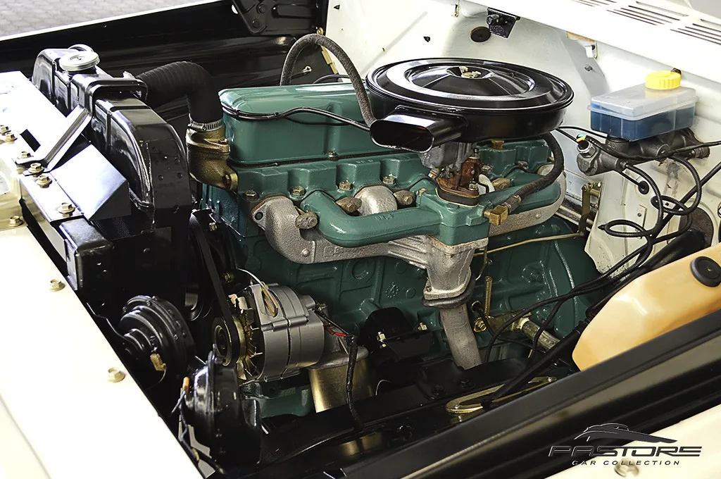 GM C10