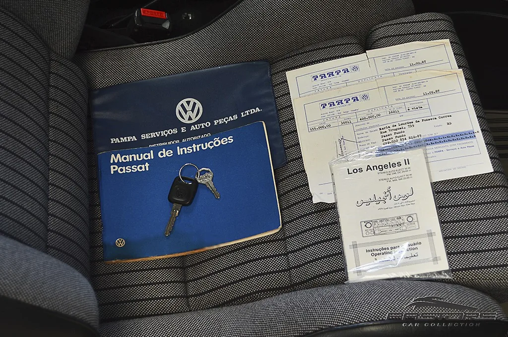 VW Passat GTS Pointer