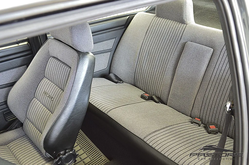VW Passat GTS Pointer