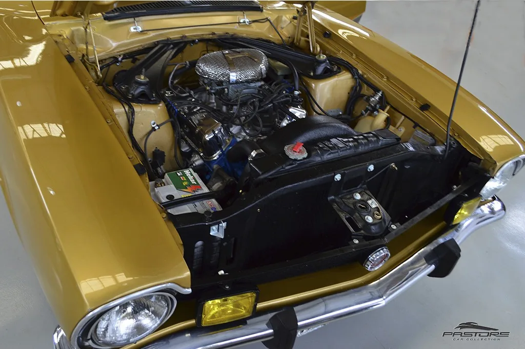 Ford Maverick Super 5.0 V8