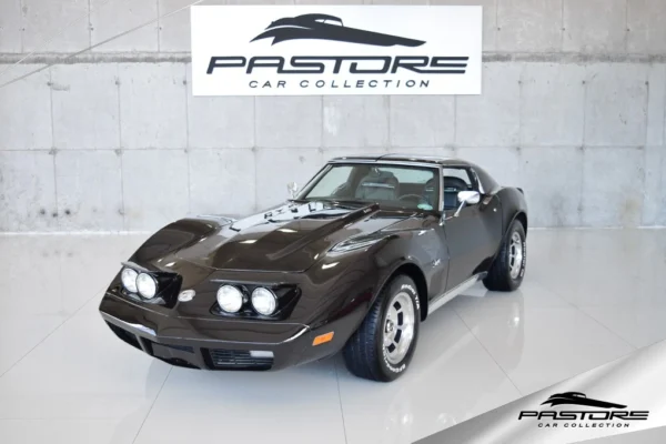 GM Corvette Stingray Targa L-82