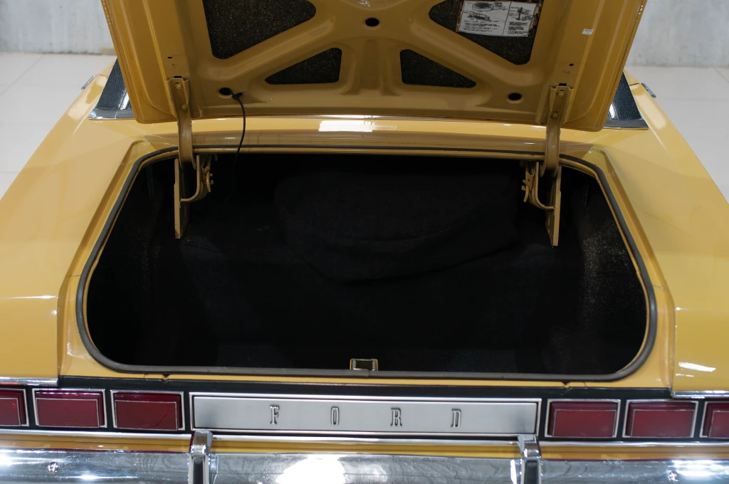 Ford Ford Galaxie LTD