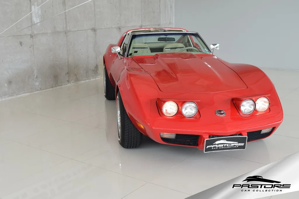 GM Corvette Stingray