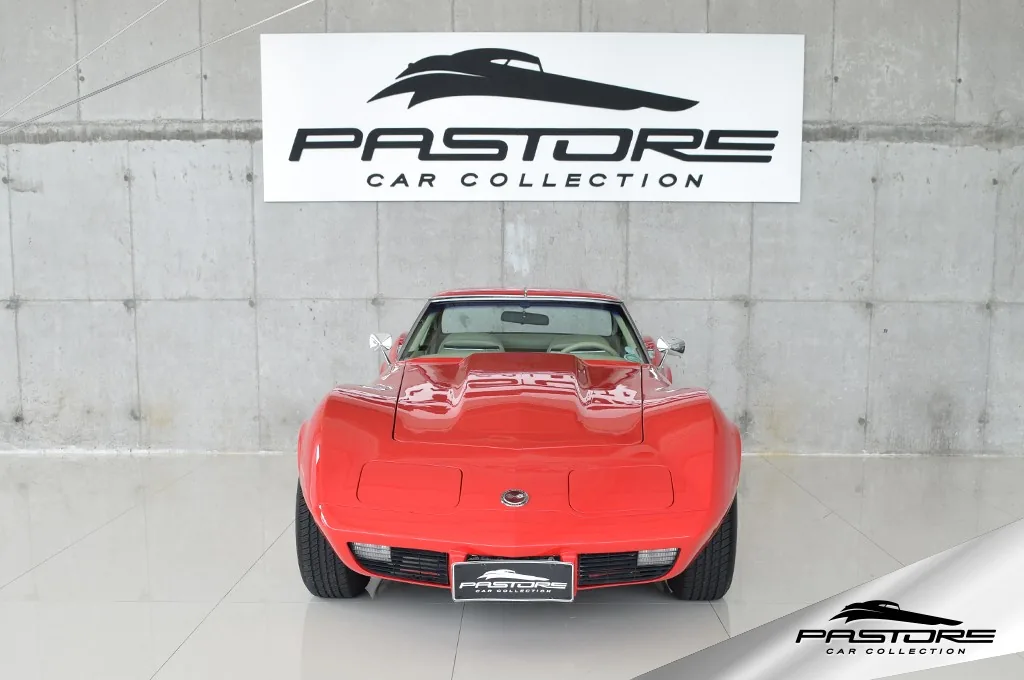 GM Corvette Stingray