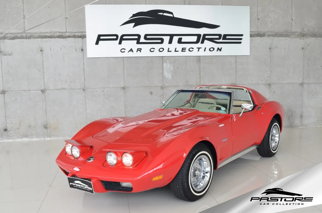 GM Corvette Stingray
