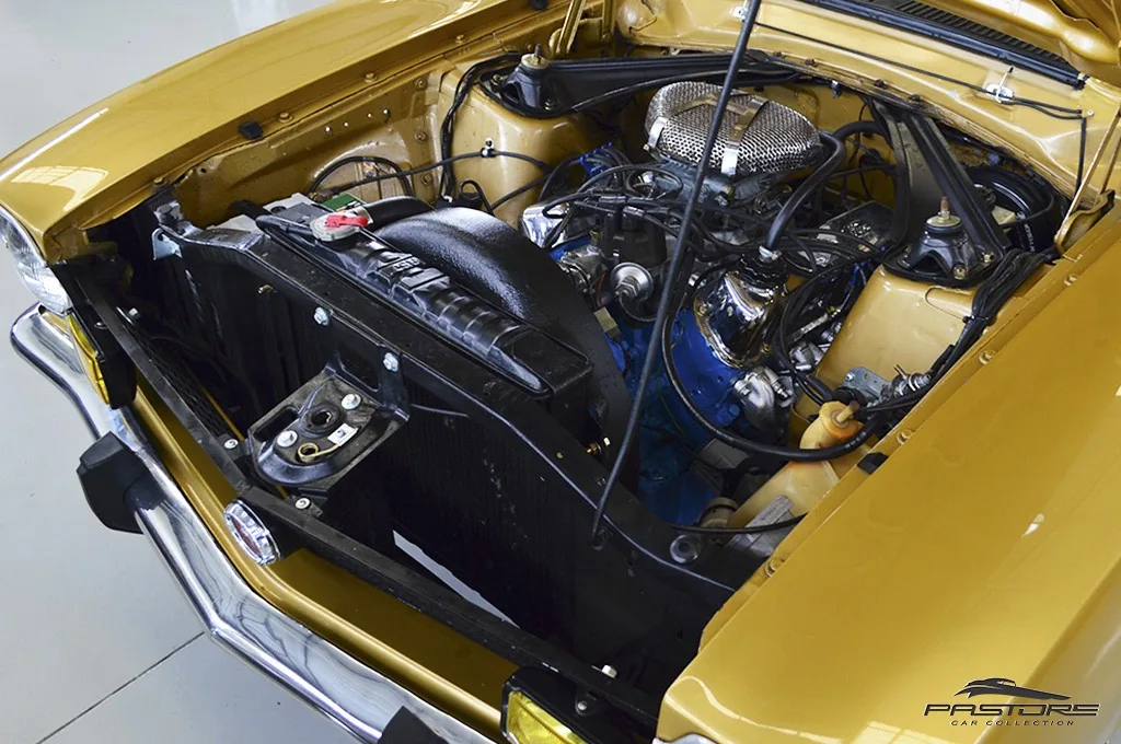 Ford Maverick Super 5.0 V8