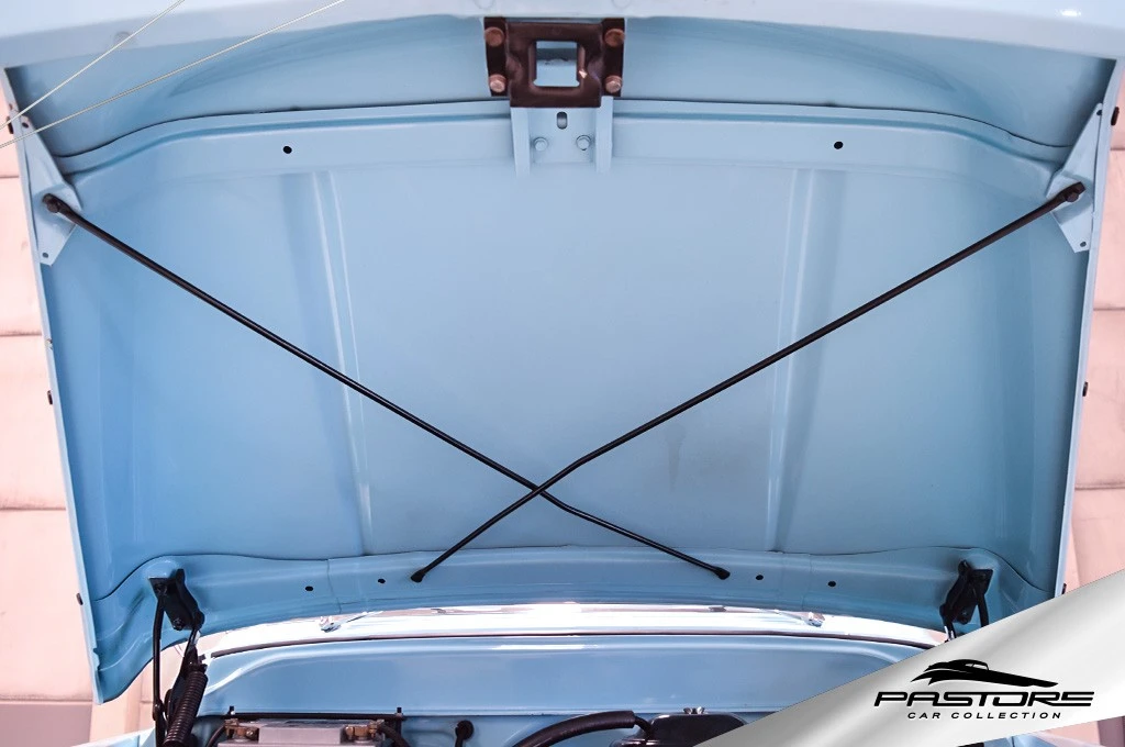 GM 3100 “Marta Rocha”