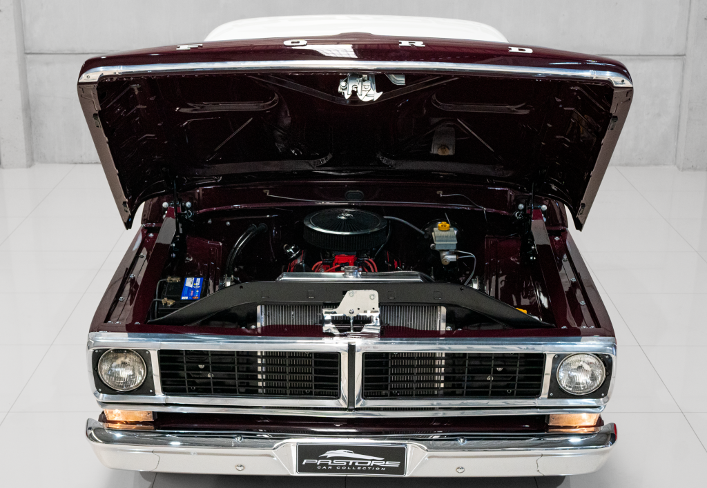 FORD F100 V8