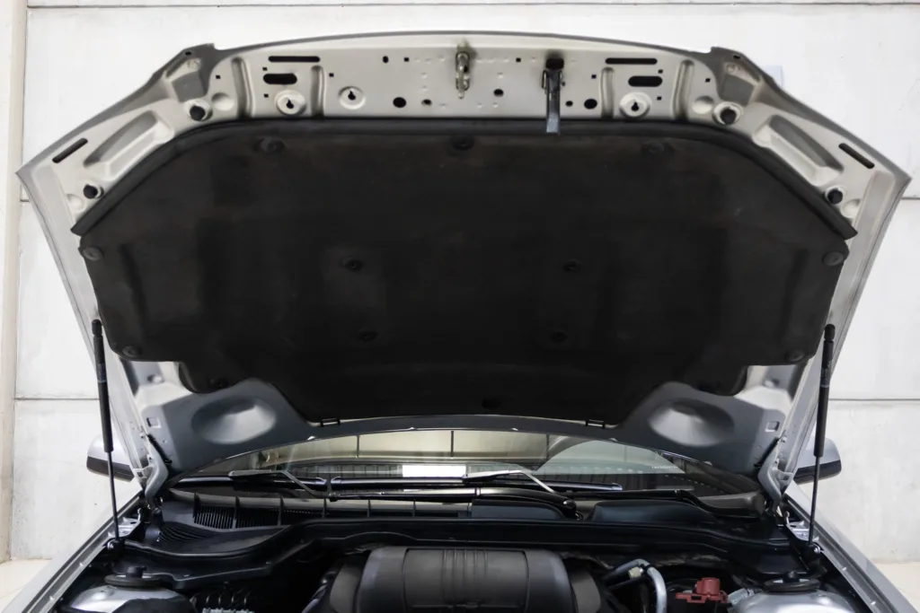 Chevrolet Omega SFI V6 – 2011